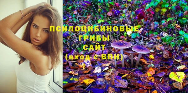 а пвп мука Костерёво