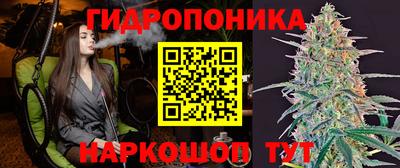 гидра Кингисепп