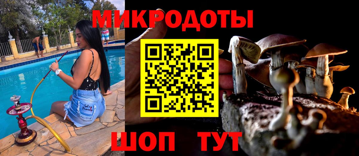 Галлюциногенные грибы GOLDEN TEACHER Чайковский