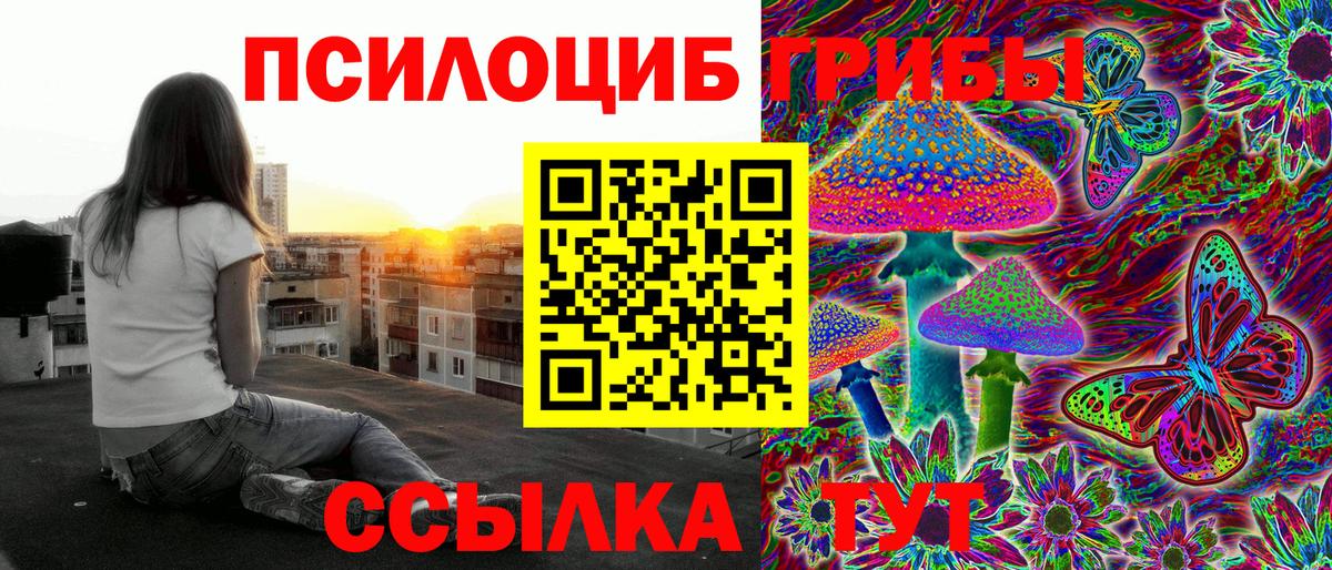 Псилоцибиновые грибы Magic Shrooms  где продают   Чайковский 